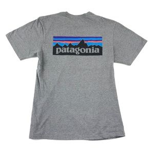 Patagonia P6 Logo Tee.